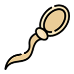 Poor motility or movement of the sperm